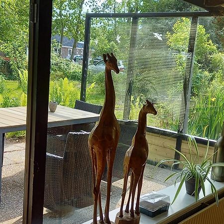 Natuurhuisje Eartswoud 阿特斯伍德 外观 照片
