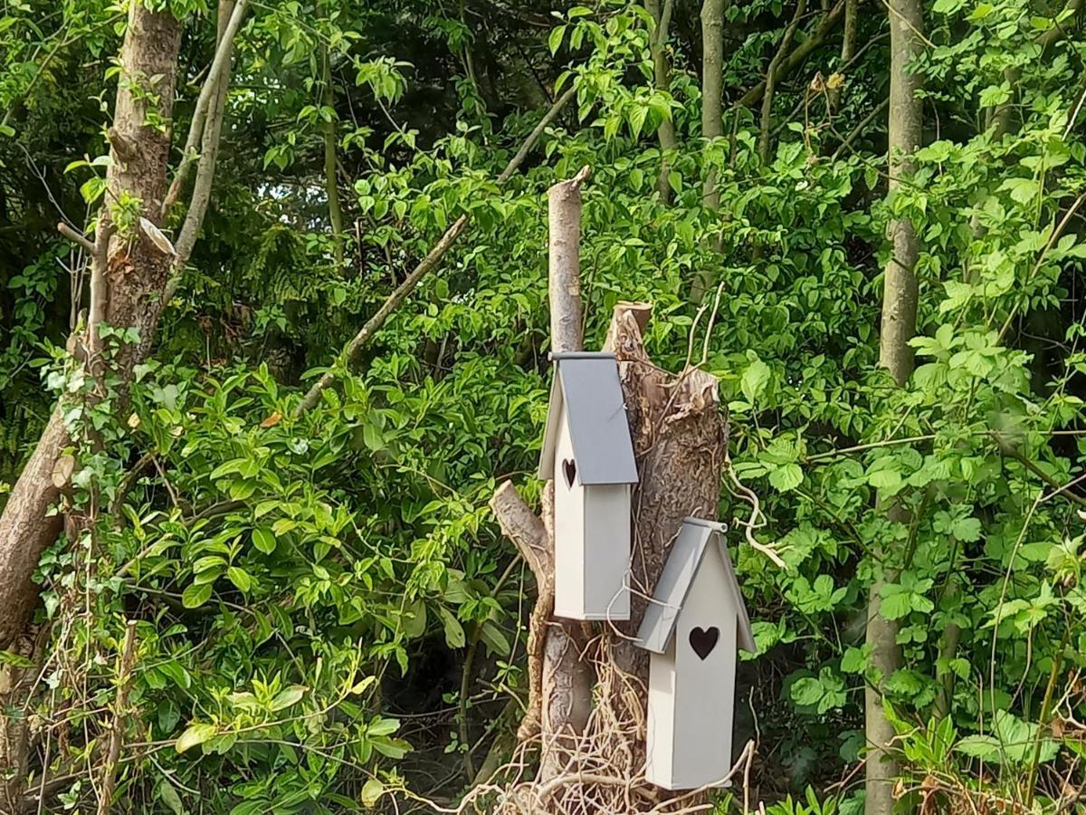 Natuurhuisje Eartswoud 阿特斯伍德 外观 照片