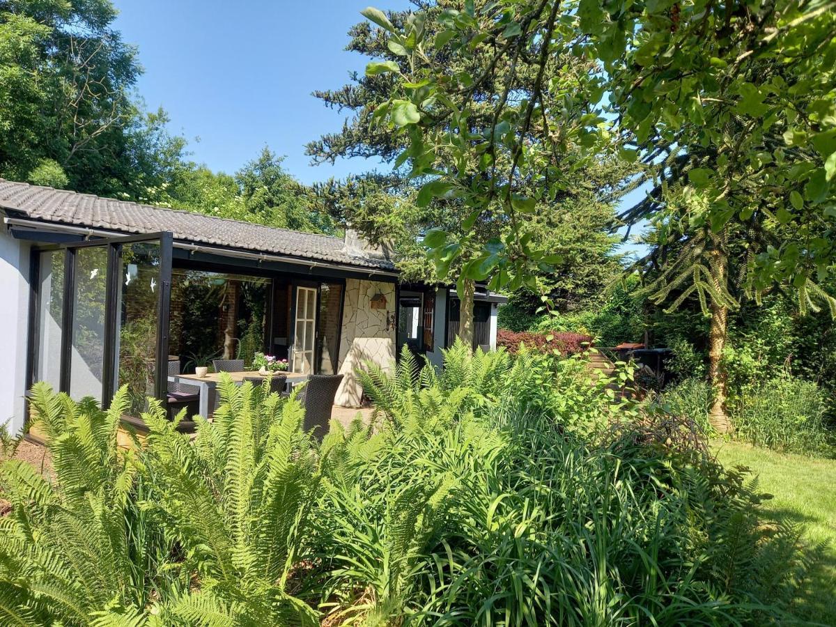 Natuurhuisje Eartswoud 阿特斯伍德 外观 照片