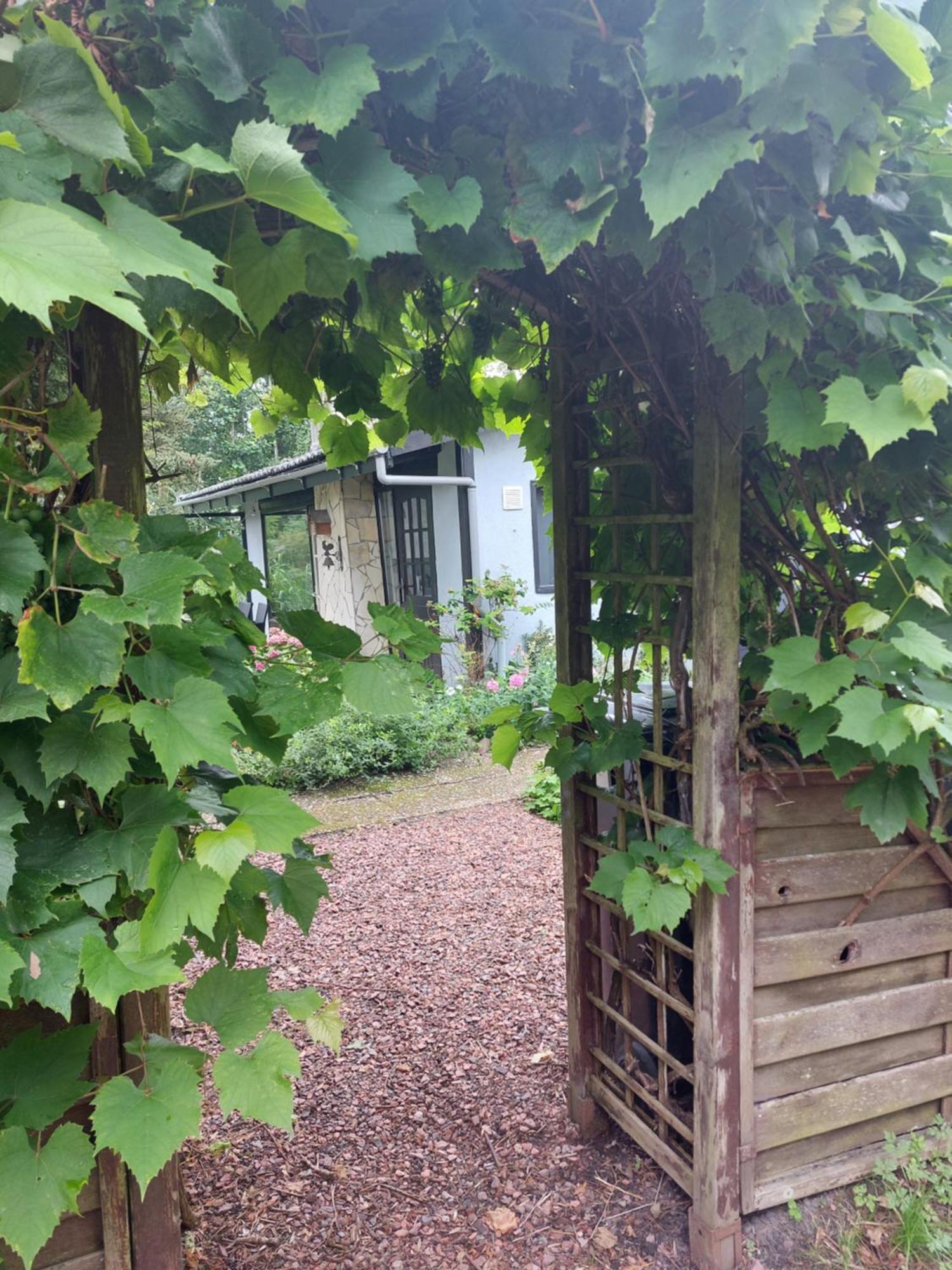 Natuurhuisje Eartswoud 阿特斯伍德 外观 照片